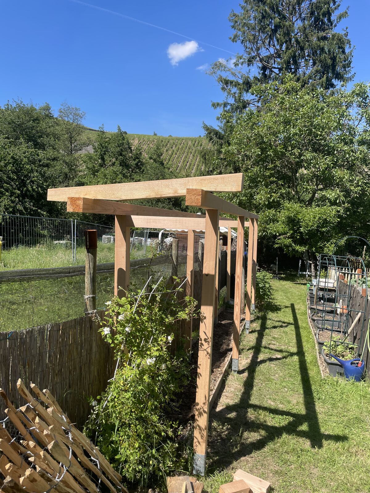 Tomatendach, Ansicht entlang des Beets