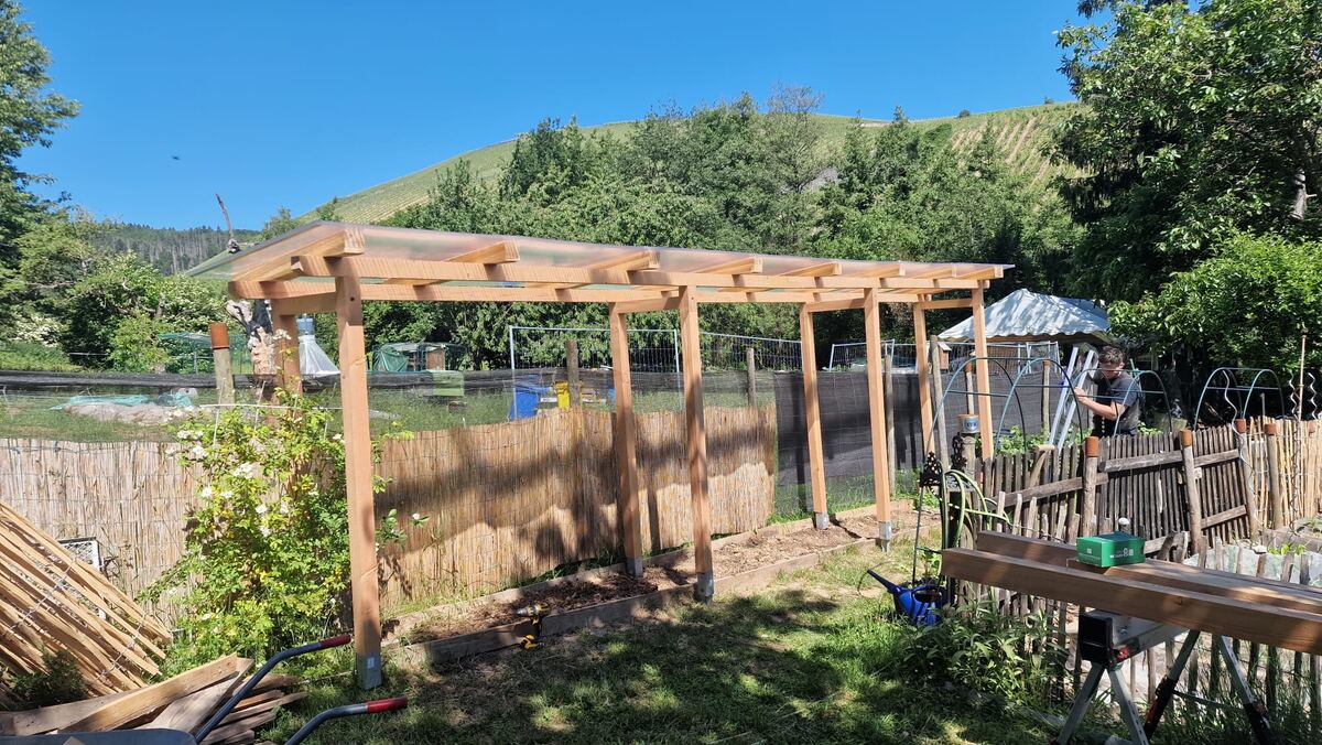 Tomatendach im Rheingau, Weitwinkel